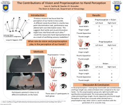 Contributions of Vision and Proprioception to Hand Perception