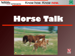 Know how. Know now. - Nebraska 4-H