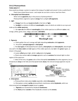 Ch 8.2 Photosynthesis