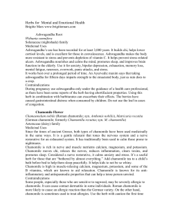 Herbs for Mental and Emotional Health