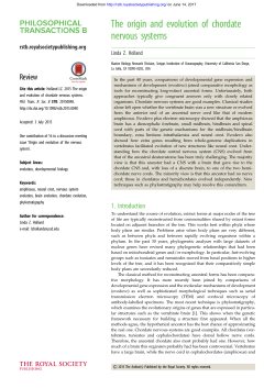The origin and evolution of chordate nervous systems