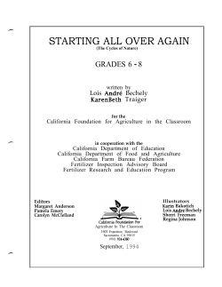 entire lesson plan PDF