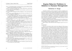 Equine Behavior Problems in Relation to Humane Management