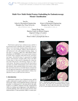Multi-View Multi-Modal Feature Embedding for Endomicroscopy