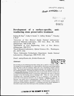 Development of a surface-specific, anti- weathering stone