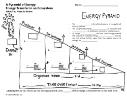 A Pyramid of Energy