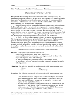 Human Karyotyping Activity