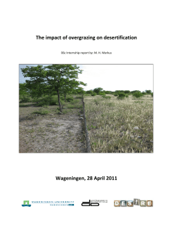 The impact of overgrazing on desertification