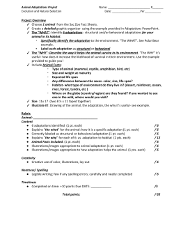 project overview and rubric
