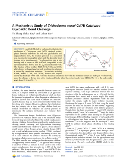 A Mechanistic Study of Trichoderma reesei Cel7B Catalyzed
