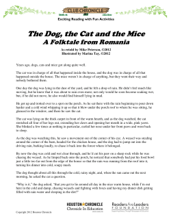 The Dog, the Cat and the Mice
