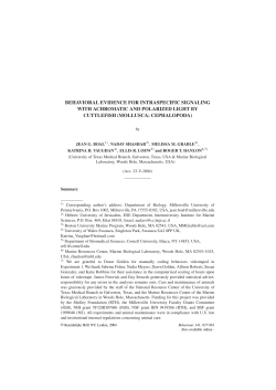 behavioral evidence for intraspecific signaling with achromatic and
