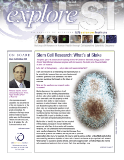 Stem Cell Research: What`s at Stake