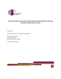The Potential Economic Impact of the National Broadband Plan on