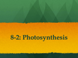 8-1: Photosynthesis
