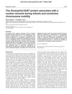 The Drosophila EAST protein associates with a nuclear remnant