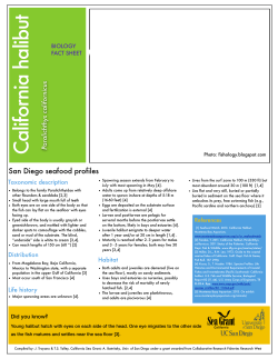 fact sheet-halibut.pages