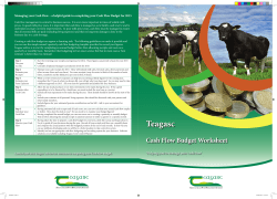 Dairy Cash Flow Budget Worksheet