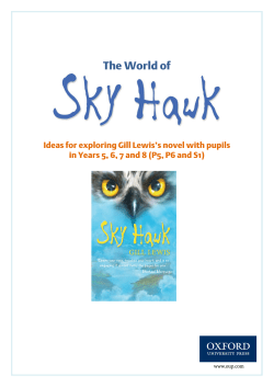 Sky Hawk reading notes