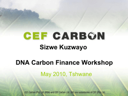 Sizwe Kuzwayo DNA Carbon Finance Workshop