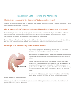 See more information about diabetes in cats here