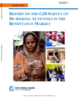 Report On The G20 Survey On De-risking