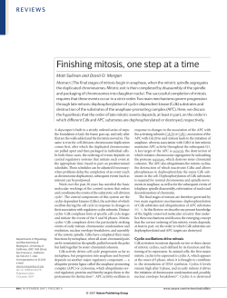 Finishing mitosis, one step at a time