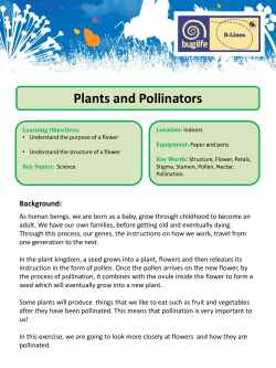 Plants and Pollinators