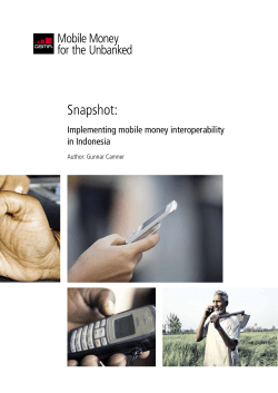 Snapshot: Implementing Mobile Money Interoperability in