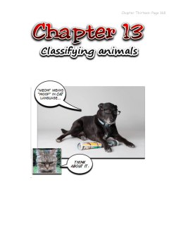 Chapter Thirteen: Page 168