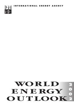 International Energy Agency (IEA) (2002)