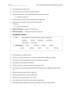 Cell Study Guide Completed