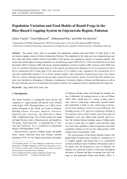 Population Variation and Food Habits of Ranid Frogs in the Rice