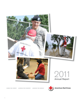 Annual Report - American Red Cross