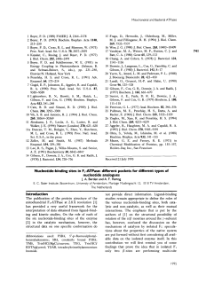 Nucleotide-binding sites in F1-ATPase: different pockets for different