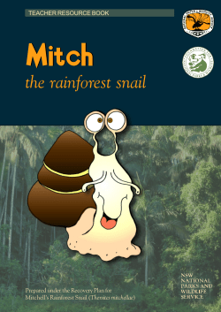 the rainforest snail