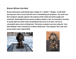 Bronze African Lion Bust