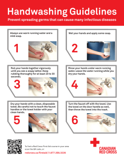 Handwashing Guidelines