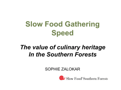 Living Slow Food in the Southern Forests