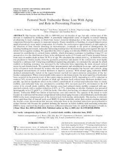 Femoral Neck Trabecular Bone: Loss With Aging