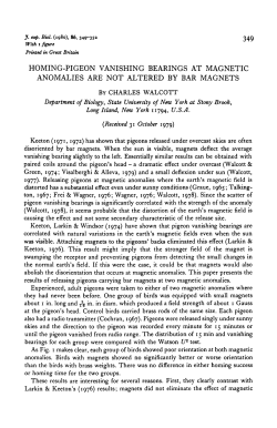 homing-pigeon vanishing bearings at magnetic anomalies are not