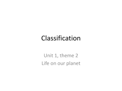 Classification - Woodlands Meed