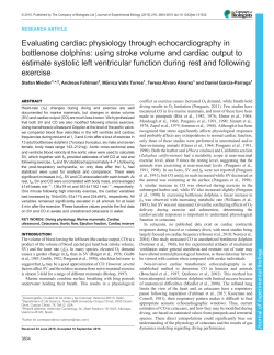Evaluating cardiac physiology through echocardiography in