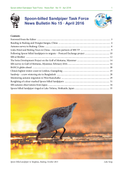 Spoon-billed Sandpiper Task Force News Bulletin No 15 · April 2016