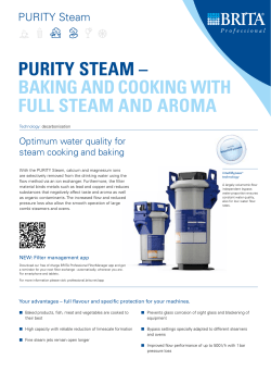 PURITY STEAM – BAKING AND COOKING WITH FULL STEAM