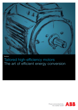 Tailored high-efficiency motors The art of efficient energy conversion