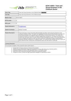 Module Team and Group Dynamics in the Childcare Sector