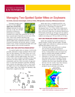 Spider mites in soybean - University of Minnesota Extension