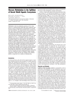 Mercury Methylation in the Epilithon of Boreal