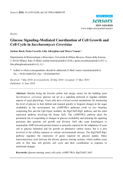 Glucose Signaling-Mediated Coordination of Cell Growth and Cell